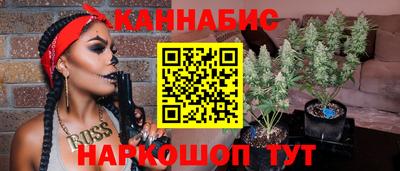 индика Моздок