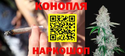 индика Моздок